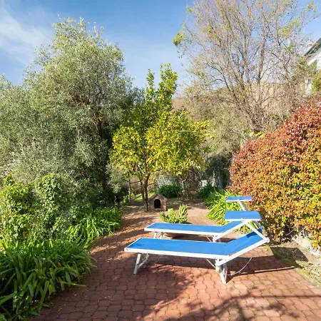 Bouganville Und Agapanthus By Interhome
